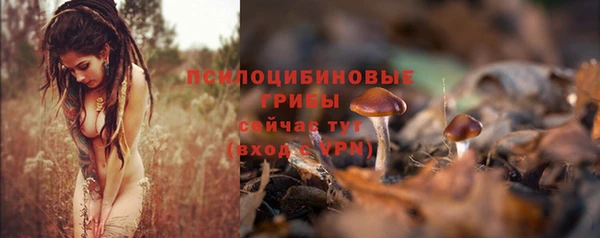 mdpv Елизово