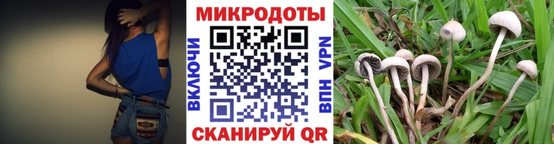 Галлюциногенные грибы Psilocybe  Тверь 